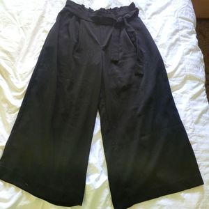 Zara Trafaluc Elastic Paperbag Waist Wide Leg Ankle/Cropped pants (M)